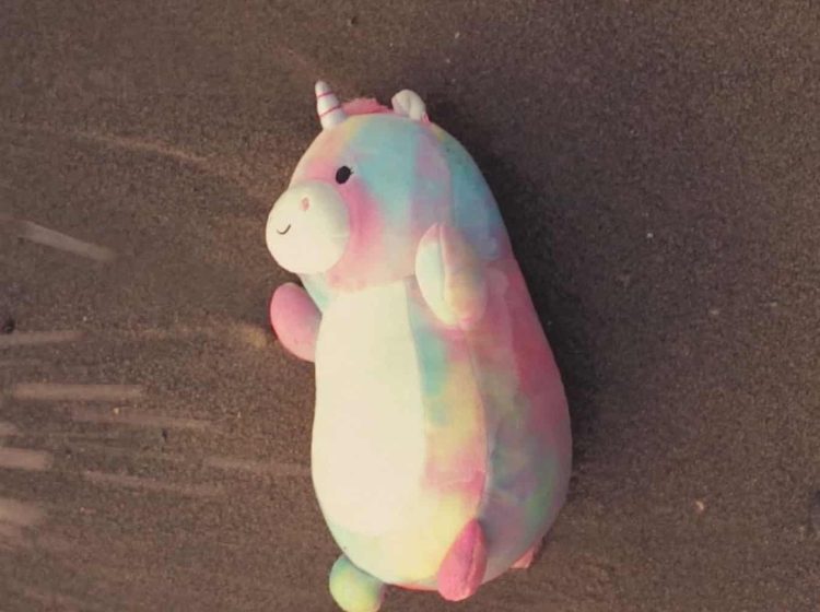 moh bear