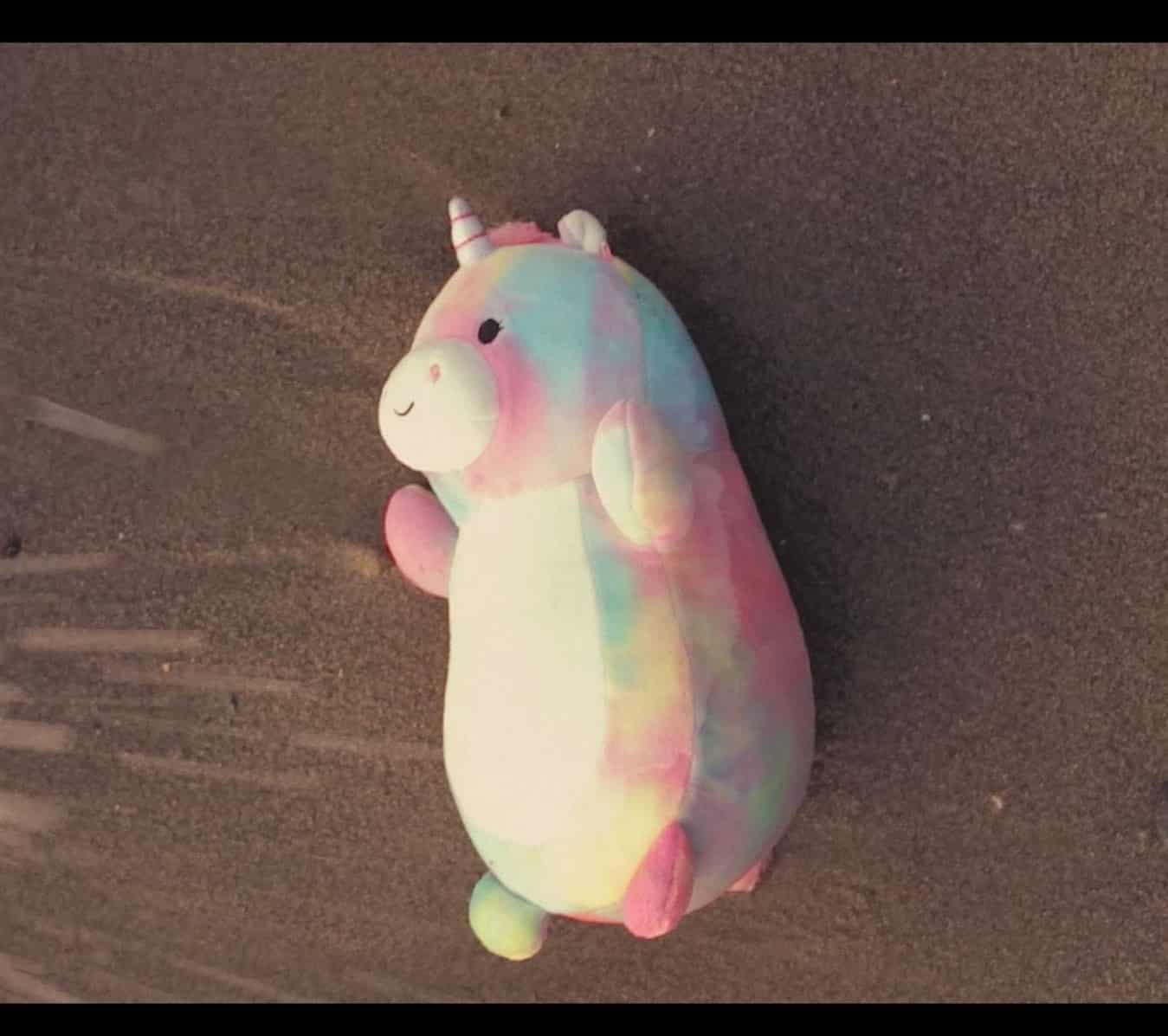 moh bear